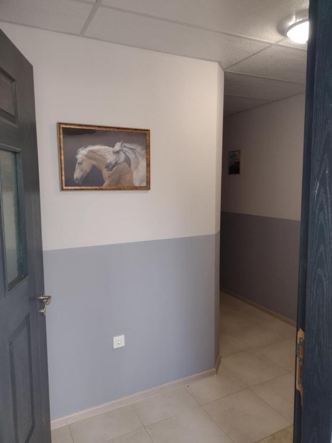 Apartment Emiza