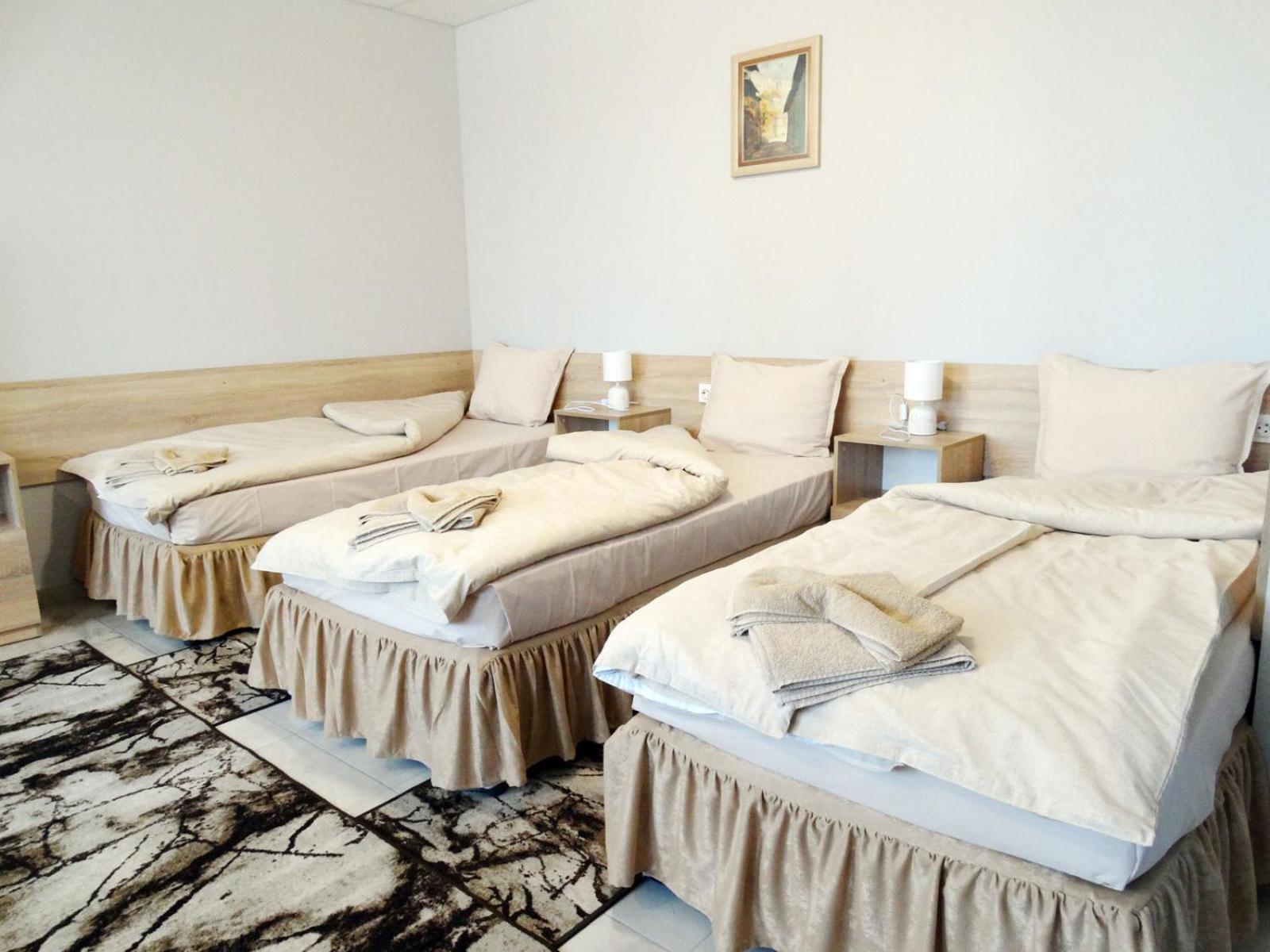 Apartment Emiza Samokov